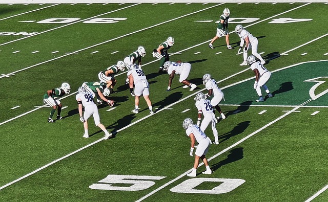 人集训名单 人集训名单