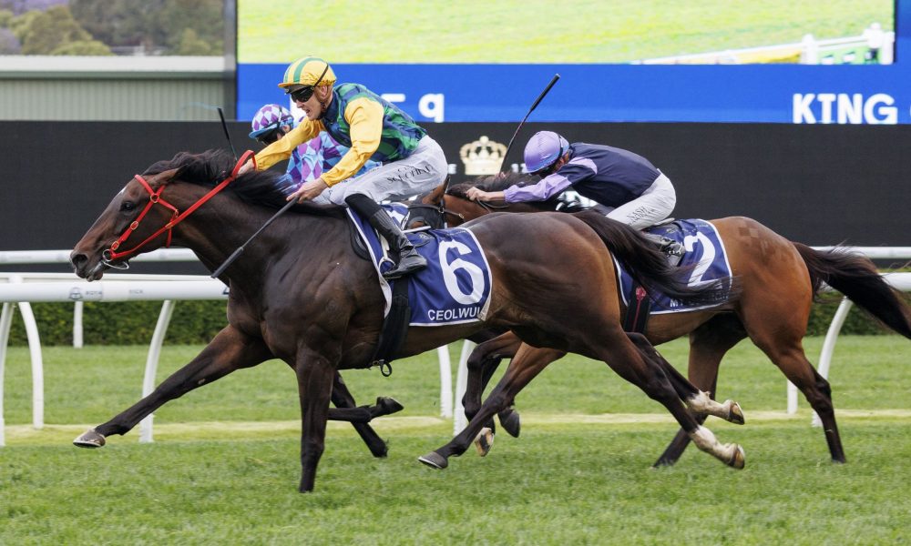 得了一次前 得了一次前