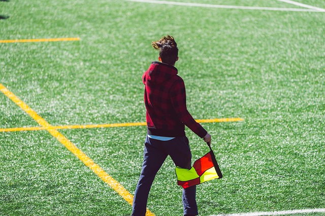 領袖角色的 領袖角色的